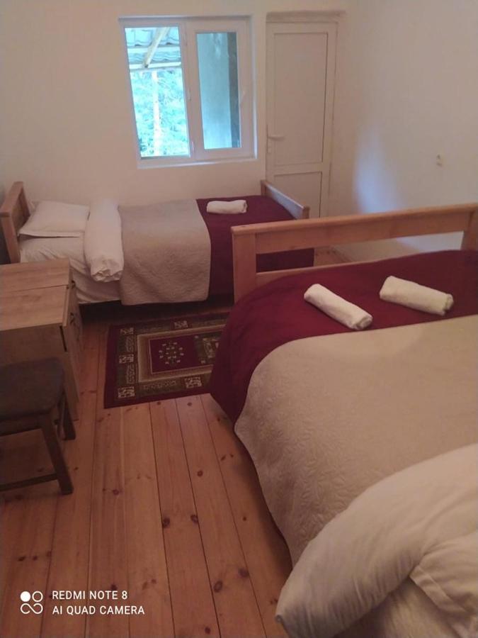 Guesthouse Gama In Khevsureti Roshka Exterior photo