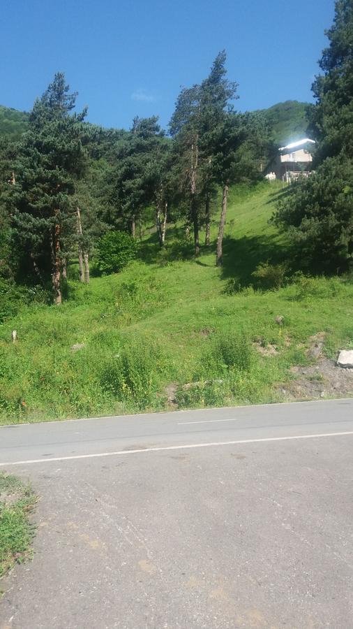 Guesthouse Gama In Khevsureti Roshka Exterior photo