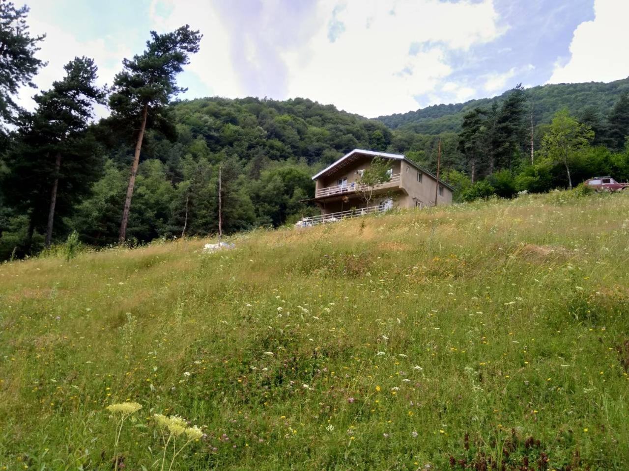 Guesthouse Gama In Khevsureti Roshka Exterior photo